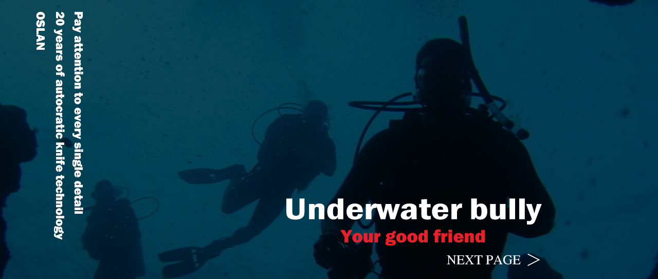 Underwater Bully